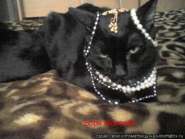 Боря Моисеев... Котоматрица: Боря Моисеев