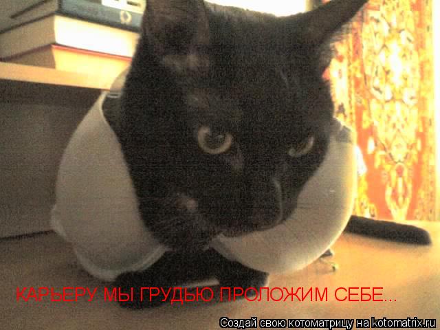 КАРЬЕРУ МЫ ГРУДЬЮ ПРОЛОЖИМ СЕБЕ...... Котоматрица: КАРЬЕРУ МЫ ГРУДЬЮ ПРОЛОЖИМ СЕБЕ...