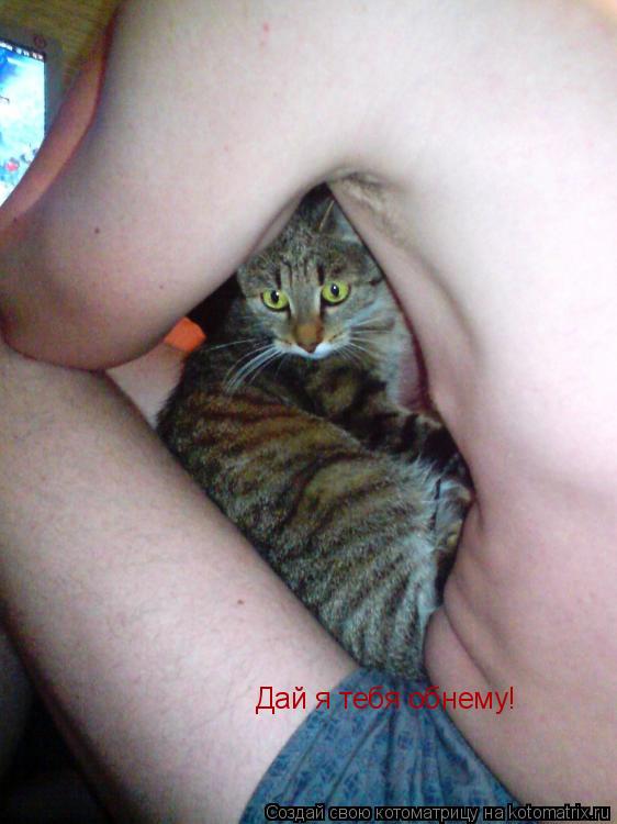 Дай я тебя обнему!... Котоматрица: Дай я тебя обнему!