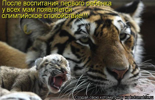После воспитания первого ребёнка у всех мам появляется олимпийское спокойствие!!!... Котоматрица: После воспитания первого ребёнка у всех мам появляется олимпийское спокойствие!!!