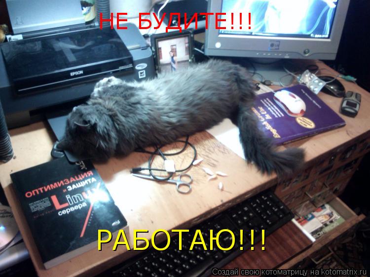 НЕ БУДИТЕ!!! РАБОТАЮ!!!... Котоматрица: НЕ БУДИТЕ!!! РАБОТАЮ!!!