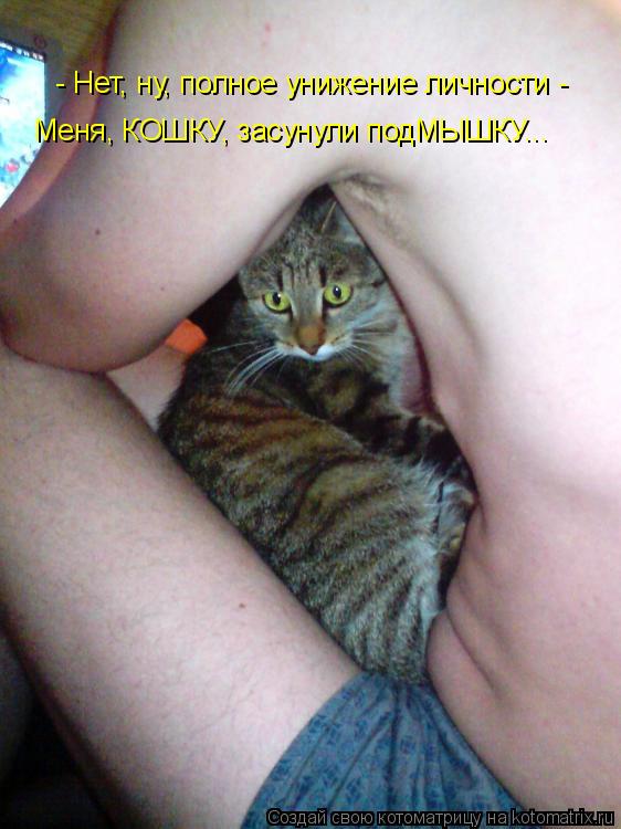 Меня, КОШКУ, засунули подМЫШКУ... - Нет, ну, полное унижение личности -... Котоматрица: Меня, КОШКУ, засунули подМЫШКУ... - Нет, ну, полное унижение личности -