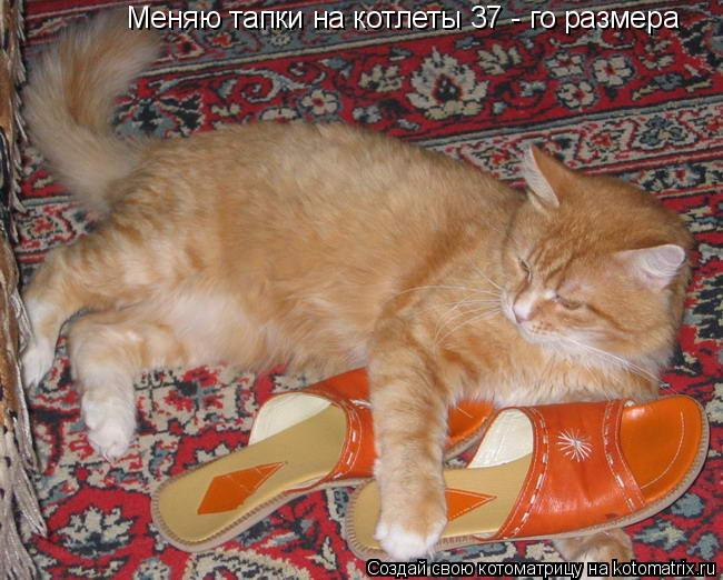 Меняю тапки на котлеты 37 - го размера... Котоматрица: Меняю тапки на котлеты 37 - го размера