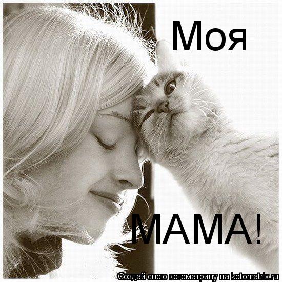 МАМА! Моя... Котоматрица: МАМА! Моя