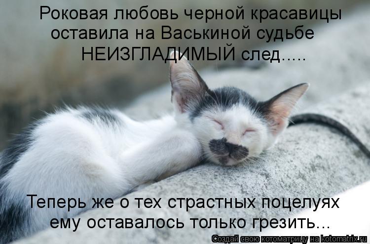 Роковая любовь черной красавицы оставила на Васькиной судьбе НЕИЗГЛАДИМЫЙ след..... Теперь же о тех с... Котоматрица: Роковая любовь черной красавицы оставила на Васькиной судьбе НЕИЗГЛАДИМЫЙ след..... Теперь же о тех страстных поцелуях ему оставалось тольк