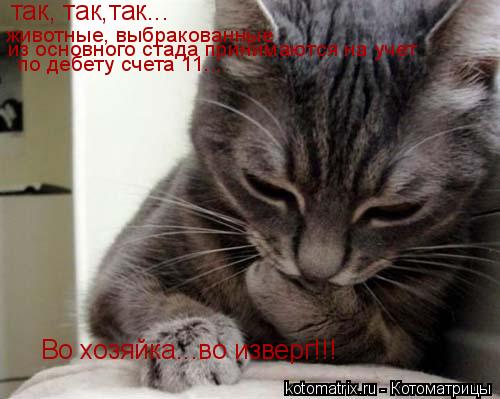 так, так,так... животные, выбракованные из основного стада принимаются на учет по дебету счета 11...... Котоматрица: так, так,так... животные, выбракованные из основного стада принимаются на учет по дебету счета 11... Во хозяйка...во изверг!!!