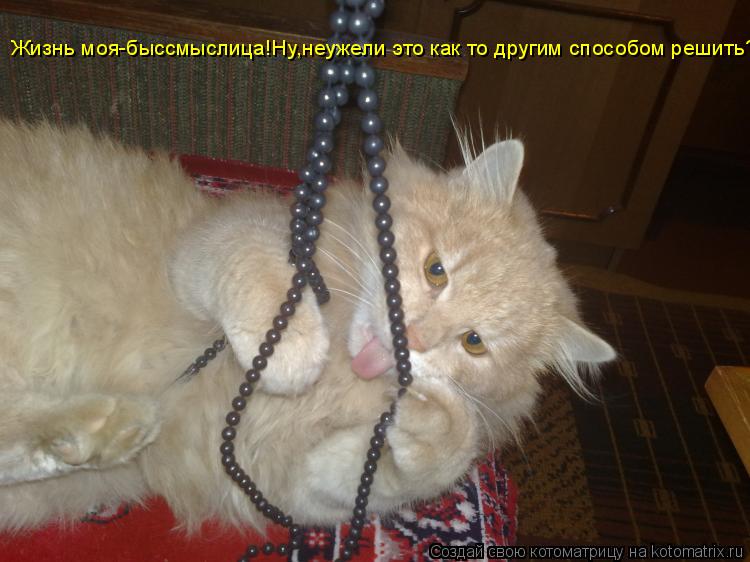 Жизнь моя-быссмыслица!Ну,неужели это как то другим способом решить?... Котоматрица: Жизнь моя-быссмыслица!Ну,неужели это как то другим способом решить?
