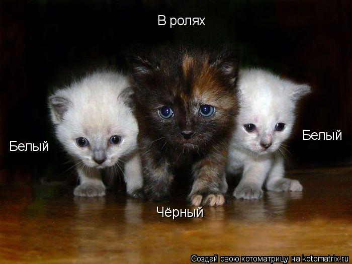 Белый Чёрный Белый В ролях... Котоматрица: Белый Чёрный Белый В ролях