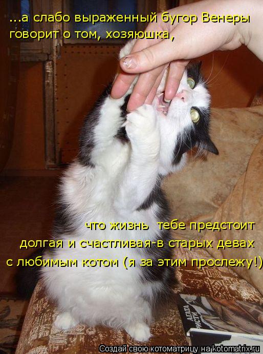 Котоматрица: ...а слабо выраженный бугор Венеры  говорит о том, хозяюшка, что жизнь  тебе предстоит  долгая и счастливая-в старых девах с любимым котом (я з