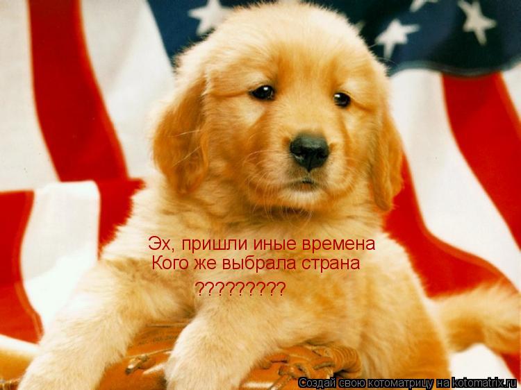 Эх, пришли иные времена Кого же выбрала страна ?????????... Котоматрица: Эх, пришли иные времена Кого же выбрала страна ?????????