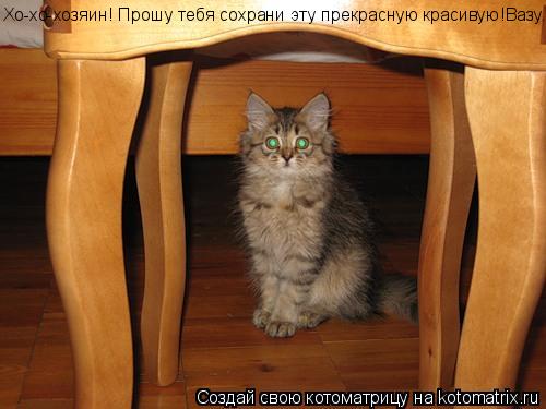 Хо-хо-хозяин! Прошу тебя сохрани эту прекрасную красивую!Вазу...... Котоматрица: Хо-хо-хозяин! Прошу тебя сохрани эту прекрасную красивую!Вазу...