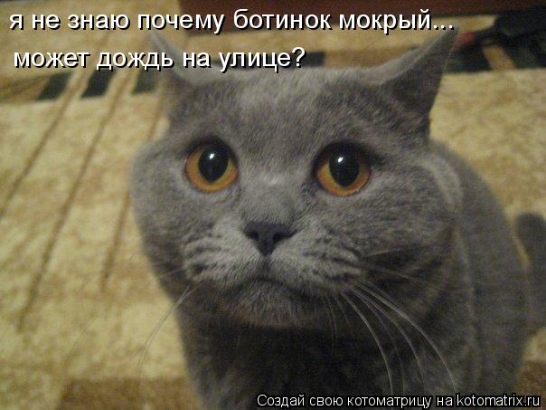 я не знаю почему ботинок мокрый... может дождь на улице?... Котоматрица: я не знаю почему ботинок мокрый... может дождь на улице?
