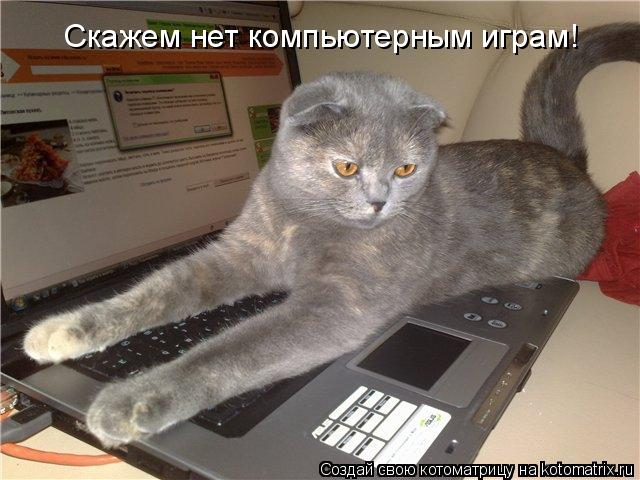 Скажем нет компьютерным играм!... Котоматрица: Скажем нет компьютерным играм!