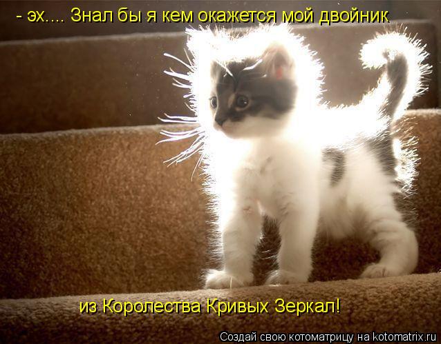- эх.... Знал бы я кем окажется мой двойник из Королества Кривых Зеркал!... Котоматрица: - эх.... Знал бы я кем окажется мой двойник из Королества Кривых Зеркал!