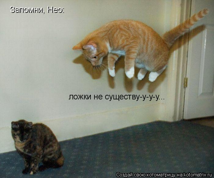 Запомни, Нео: ложки не существу-у-у-у...... Котоматрица: Запомни, Нео: ложки не существу-у-у-у...