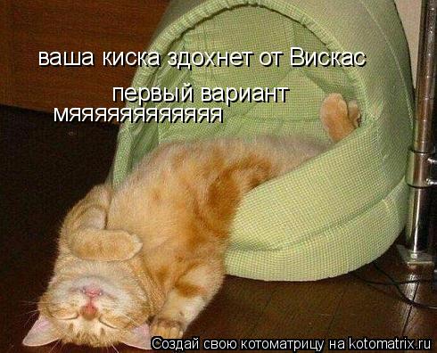 ваша киска здохнет от Вискас первый вариант мяяяяяяяяяяяя... Котоматрица: ваша киска здохнет от Вискас первый вариант мяяяяяяяяяяяя