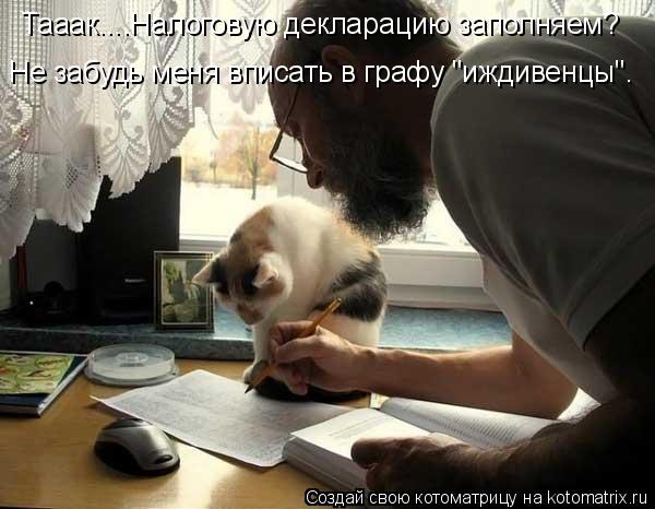 Тааак....Налоговую декларацию заполняем? Не забудь меня вписать в графу "иждивенцы".... Котоматрица: Тааак....Налоговую декларацию заполняем? Не забудь меня вписать в графу "иждивенцы".