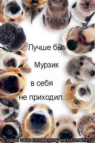 Лучше бы не приходил... в себя Мурзик... Котоматрица: Лучше бы не приходил... в себя Мурзик