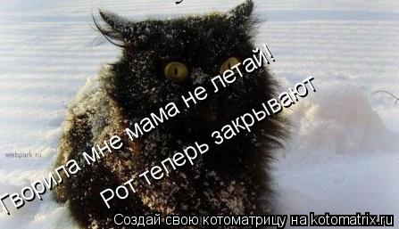 Гворила мне мама не летай! Рот теперь закрывают... Котоматрица: Гворила мне мама не летай! Рот теперь закрывают