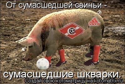 От сумасшедшей свиньи - сумасшедшие шкварки.... Котоматрица: От сумасшедшей свиньи - сумасшедшие шкварки.