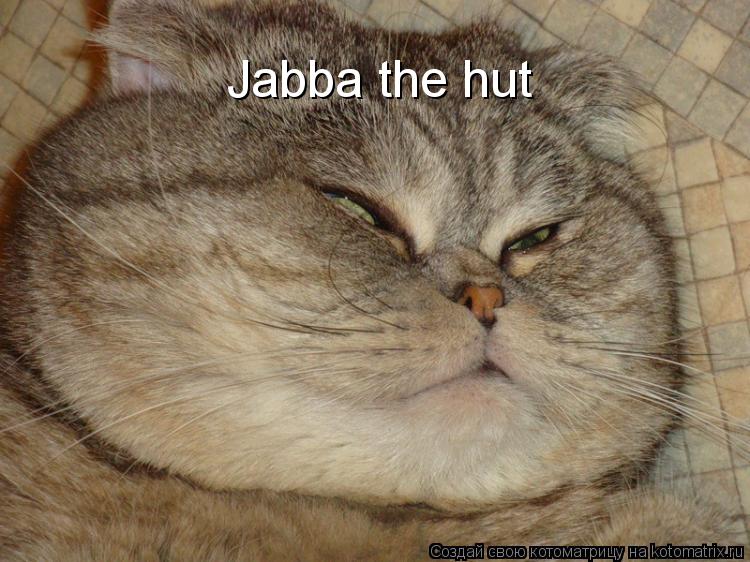 Котоматрица: Jabba the hut