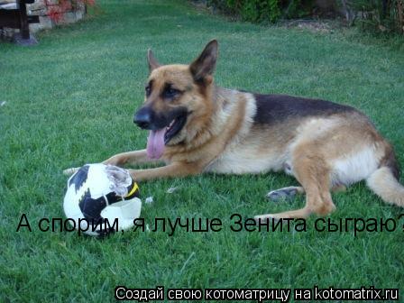 А спорим, я лучше Зенита сыграю?..... Котоматрица: А спорим, я лучше Зенита сыграю?..