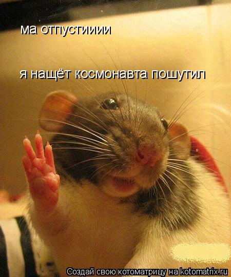 ма отпустииии я нащёт космонавта пошутил... Котоматрица: ма отпустииии я нащёт космонавта пошутил