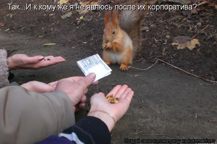 Котоматрица: Так...И к кому же я не явлюсь после их корпоратива?