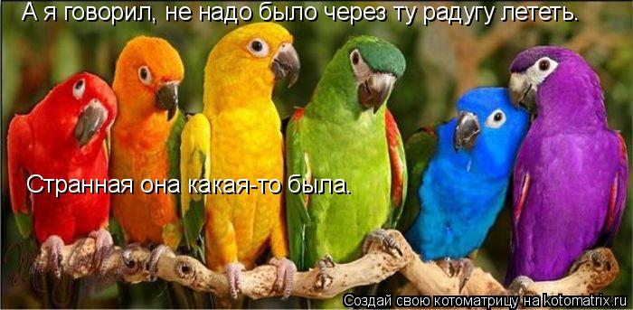 Котоматрица: А я говорил, не надо было через ту радугу лететь. Странная она какая-то была.