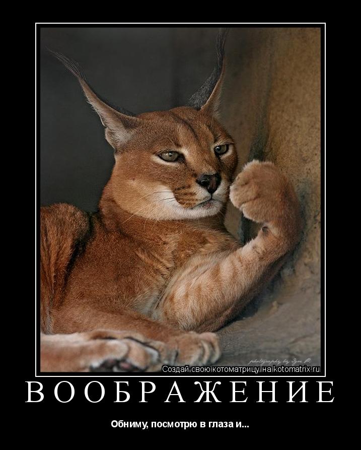 воображение Обниму, посмотрю в глаза и...... Котоматрица: воображение Обниму, посмотрю в глаза и...