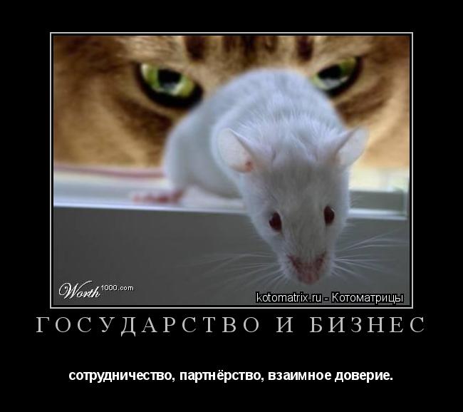 Котоматрица: государство и бизнес сотрудничество, партнёрство, взаимное доверие.