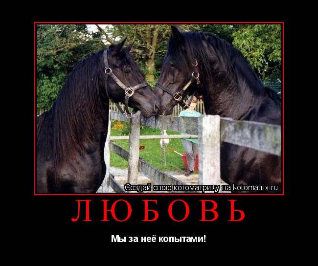 Любовь Мы за неё копытами!... Котоматрица: Любовь Мы за неё копытами!