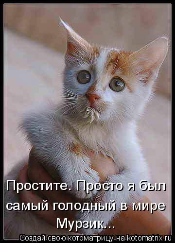 Простите. Просто я был самый голодный в мире Мурзик...... Котоматрица: Простите. Просто я был самый голодный в мире Мурзик...