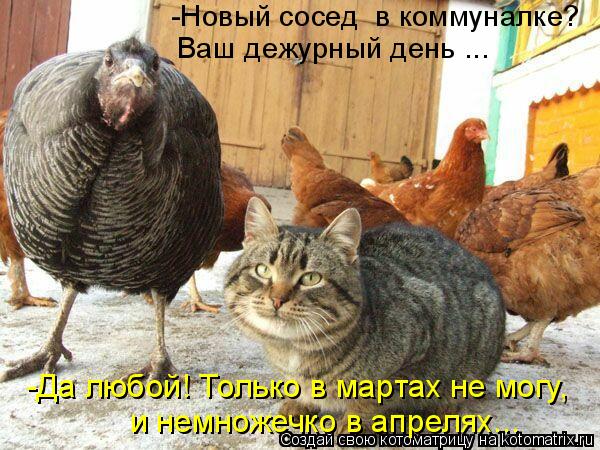 -Новый сосед в коммуналке? Ваш дежурный день ... -Да любой! Только в мартах не могу, и немножечко в ... Котоматрица: -Новый сосед в коммуналке? Ваш дежурный день ... -Да любой! Только в мартах не могу, и немножечко в апрелях...