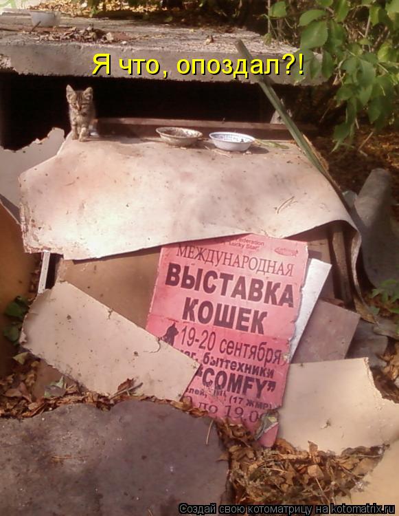 Котоматрица: Я что, опоздал?!