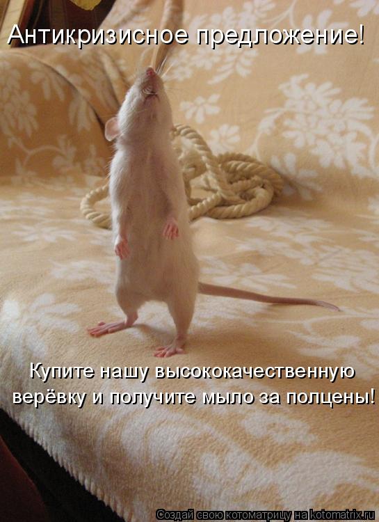 Котоматрица: Антикризисное предложение!  Купите нашу высококачественную  верёвку и получите мыло за полцены!