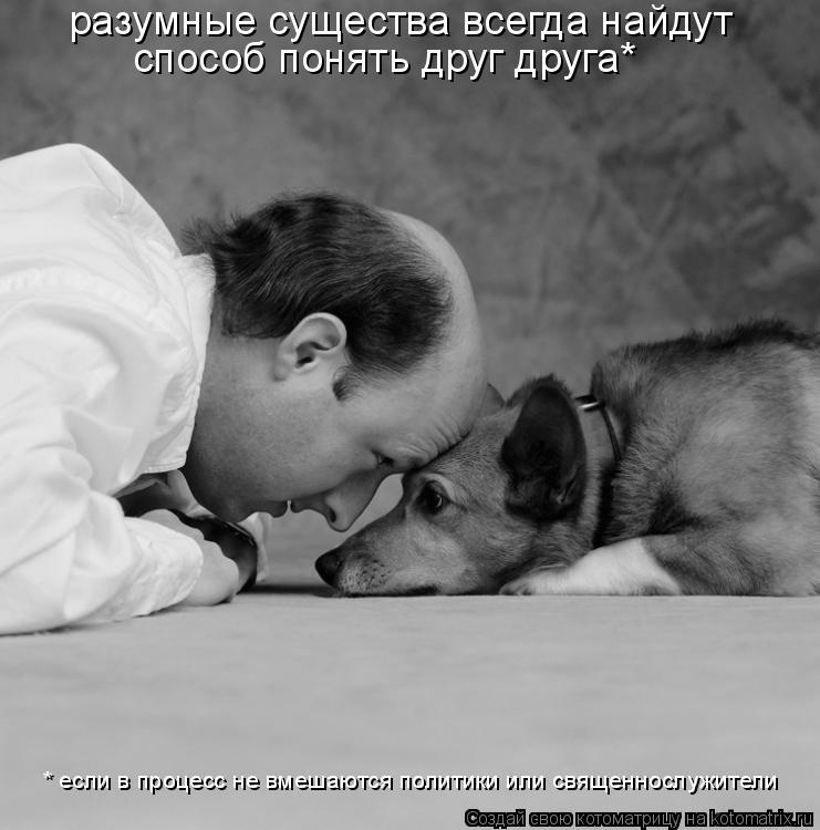 разумные существа всегда найдут способ понять друг друга* * если в процесс не вмешаются политики или... Котоматрица: разумные существа всегда найдут способ понять друг друга* * если в процесс не вмешаются политики или священнослужители