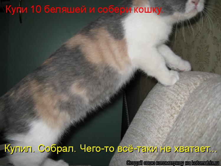 Купи 10 беляшей и собери кошку. Купил. Собрал. Чего-то всё-таки не хватает...... Котоматрица: Купи 10 беляшей и собери кошку. Купил. Собрал. Чего-то всё-таки не хватает...