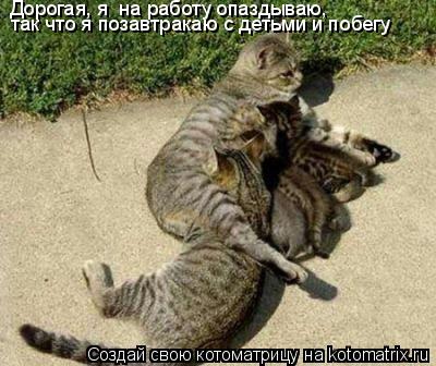 Котоматрица: Дорогая, я  на работу опаздываю, так что я позавтракаю с детьми и побегу