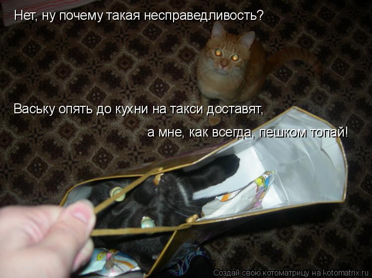 Нет, ну почему такая несправедливость? Ваську опять до кухни на такси доставят, а мне, как всегда, пе... Котоматрица: Нет, ну почему такая несправедливость? Ваську опять до кухни на такси доставят, а мне, как всегда, пешком топай!