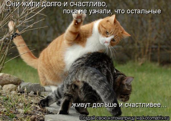 Они жили долго и счастливо, пока не узнали, что остальные живут дольше и счастливее... пока не узнали... Котоматрица: Они жили долго и счастливо, пока не узнали, что остальные живут дольше и счастливее... пока не узнали, что остальные живут дольше и счастлив