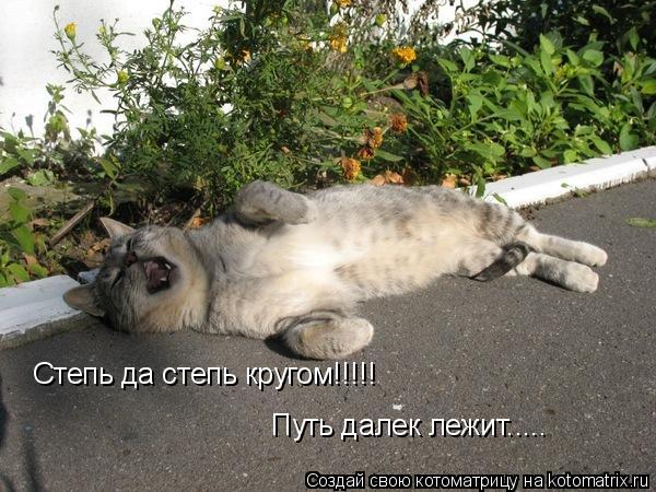 Степь да степь кругом!!!!! Путь далек лежит........ Котоматрица: Степь да степь кругом!!!!! Путь далек лежит.....