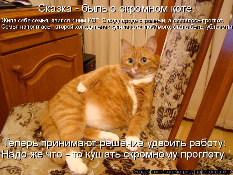 Жила себе семья, явился к ним КОТ. С виду вроде скромный, а оказалось-проглот. Семья напряглась - вто... Котоматрица: Жила себе семья, явился к ним КОТ. С виду вроде скромный, а оказалось-проглот. Семья напряглась - второй холодильник купили,кота любимого, ст