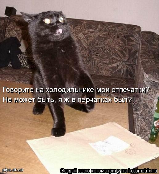 Говорите на холодильнике мои отпечатки? Не может быть, я ж в перчатках был?!... Котоматрица: Говорите на холодильнике мои отпечатки? Не может быть, я ж в перчатках был?!