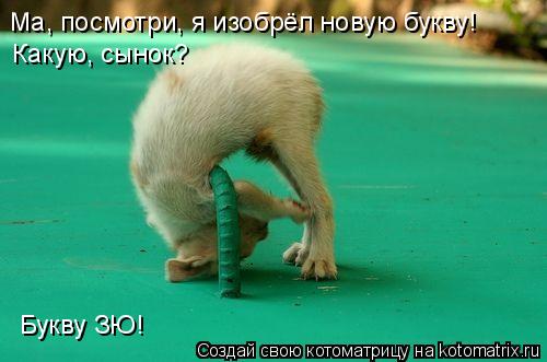 Ма, посмотри, я изобрёл новую букву! Какую, сынок? Букву ЗЮ!... Котоматрица: Ма, посмотри, я изобрёл новую букву! Какую, сынок? Букву ЗЮ!