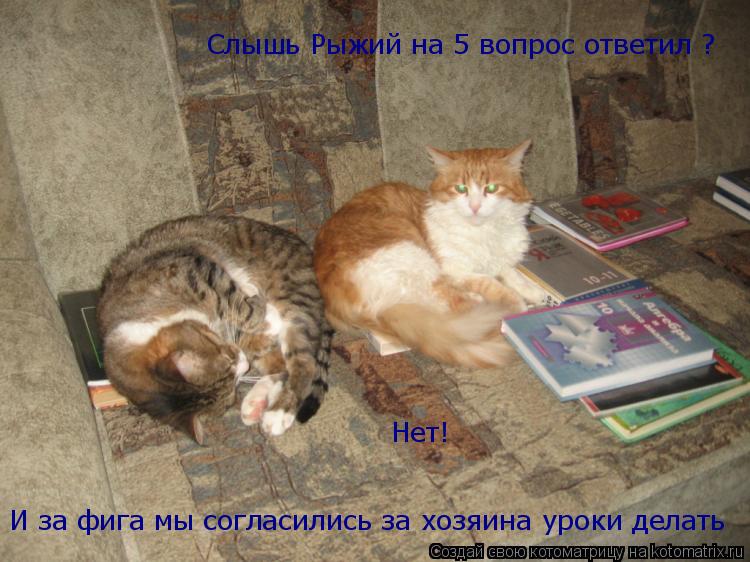 Слышь Рыжий на 5 вопрос ответил ? И за фига мы согласились за хозяина уроки делать Нет!... Котоматрица: Слышь Рыжий на 5 вопрос ответил ? И за фига мы согласились за хозяина уроки делать Нет!