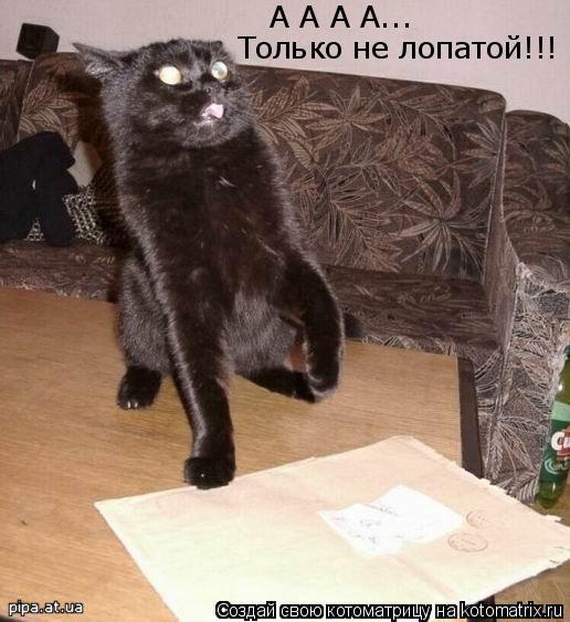 А А А А... Только не лопатой!!!... Котоматрица: А А А А... Только не лопатой!!!