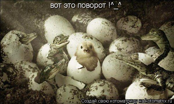 вот это поворот !^_^... Котоматрица: вот это поворот !^_^