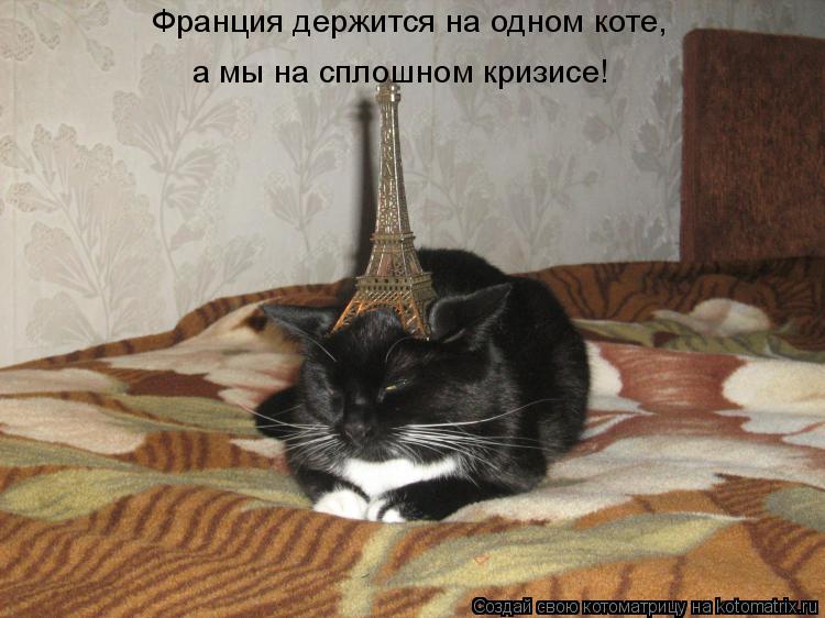 Франция держится на одном коте, а мы на сплошном кризисе!... Котоматрица: Франция держится на одном коте, а мы на сплошном кризисе!