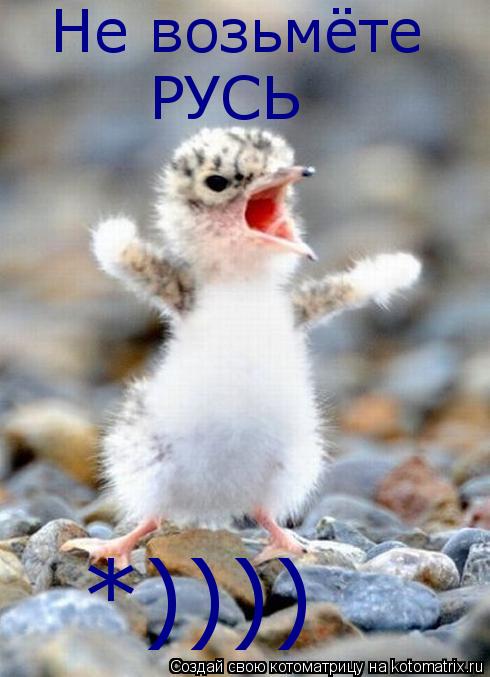 Не возьмёте РУСЬ *))))... Котоматрица: Не возьмёте РУСЬ *))))